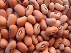 RED COWPEA BEANS BIG CHORI (1KG)