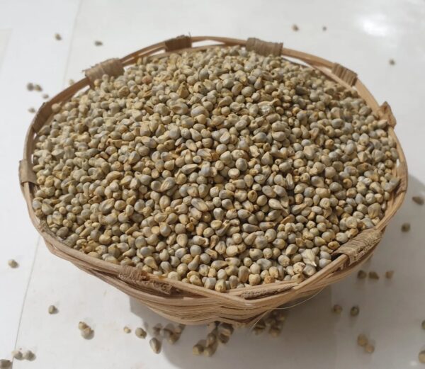 BAJARA (5KG)