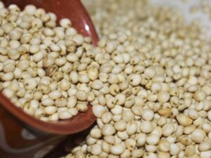 WHITE JUWAR (1KG)