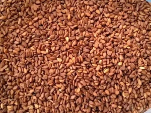 RED TIL TAL (100GM)