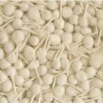 COTTON FLOWER BATTI
