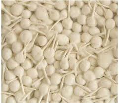 COTTON FLOWER BATTI