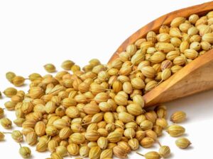 CORIANDER SEEDS KOTTAMBARI BEEJA DHANA (100GM)