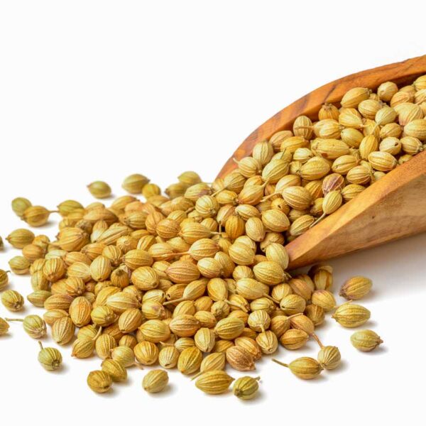 CORIANDER SEEDS KOTTAMBARI BEEJA DHANA (500GM)