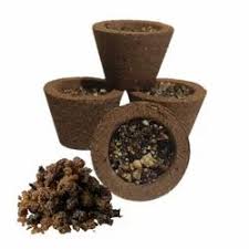 JANAK SANSKRUTI GUGAL DHOOP CUPS 12 NOS