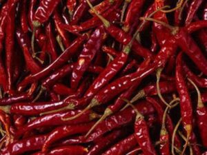 CHILLI (100GM)
