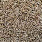 CUMIN SEEDS JEERA (500GM)