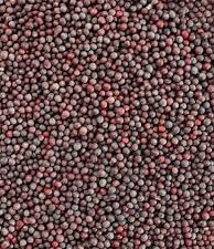 ORGANIC MUSTARD SMALL RAI (1KG)