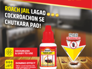 ARBUDA ROACH JAIL