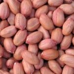 GROUNDNUT SEEDS 1KG
