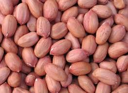 GREEN FORCE GROUNDNUT SEEDS 1KG
