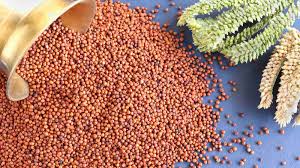 GREEN FORCE RAGI 500 GM