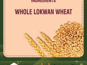 JORDAR PREMIUM QUALITY WHEAT LOKWAN 1 KG